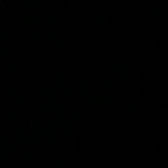 Meet your Posher, Sabrina - Picture 1 of 1